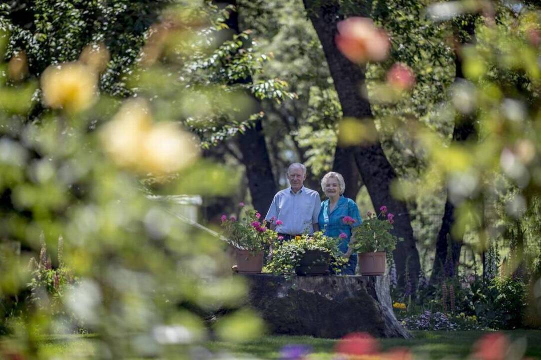 See flower magic in Sierra garden