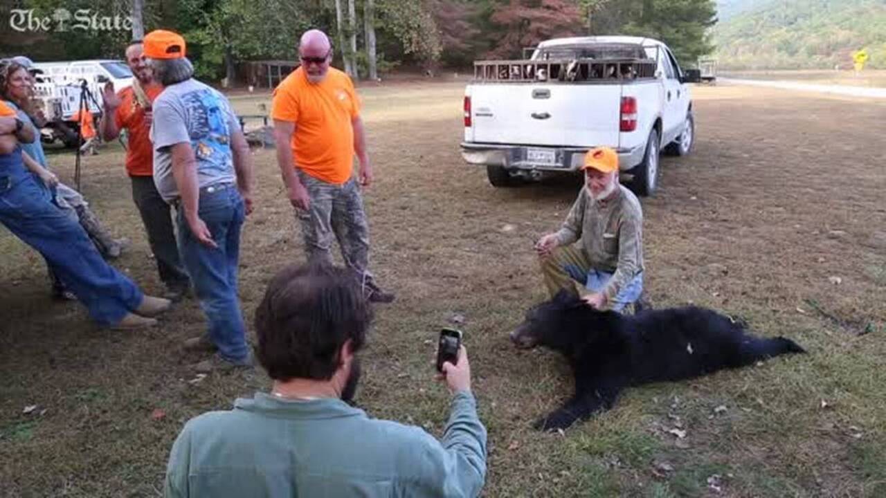 Hunting bear in the Carolinas