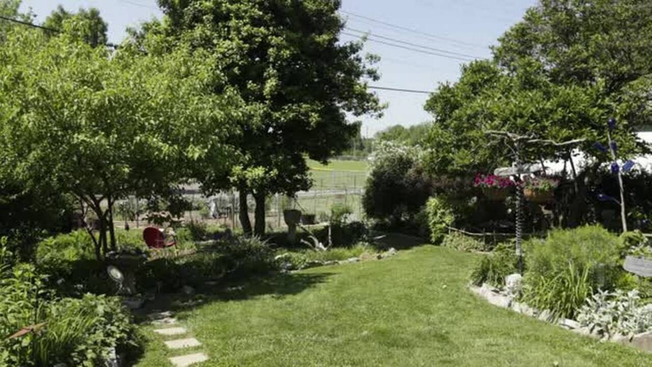 Garden is home to wildlife, milkweed, found objects and summer bounty