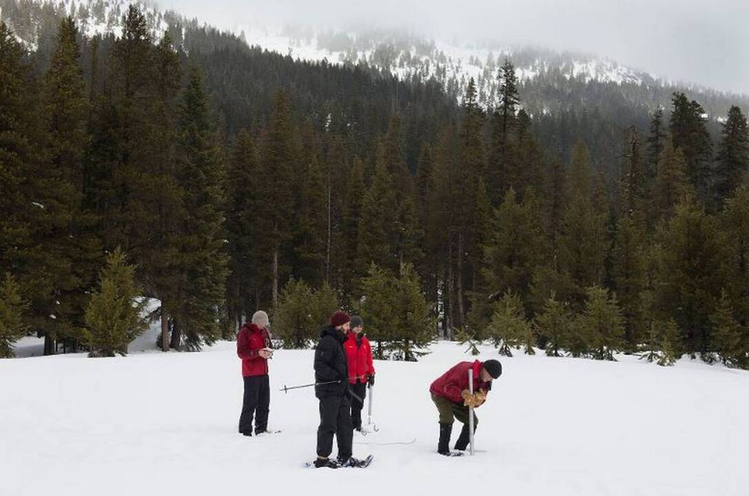 Sierra snow survey shows snowpack at 153 percent of average