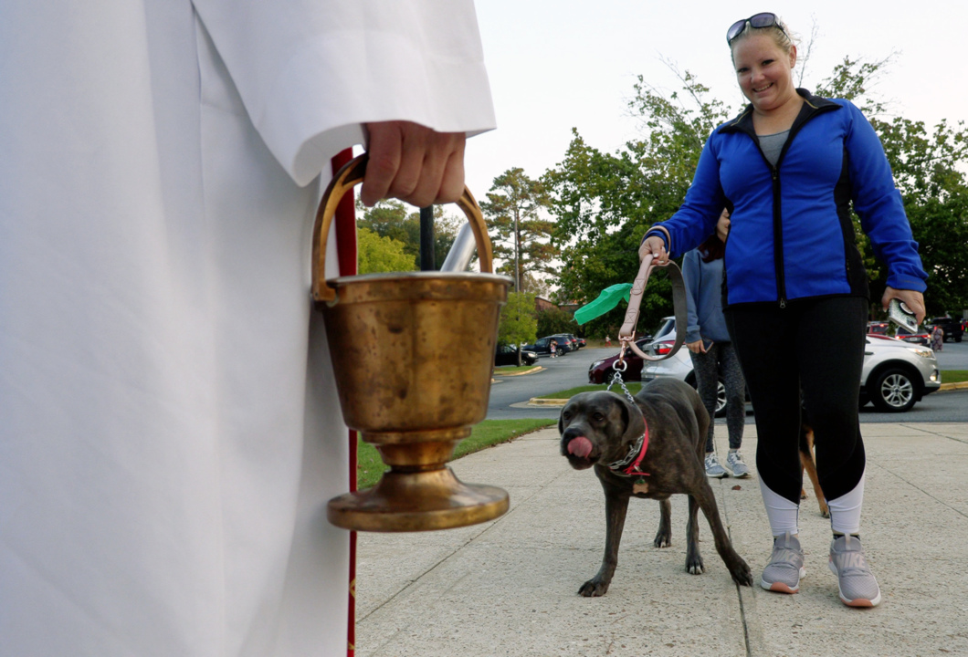 Friars bless animals in honor of St. Francis of Assisi
