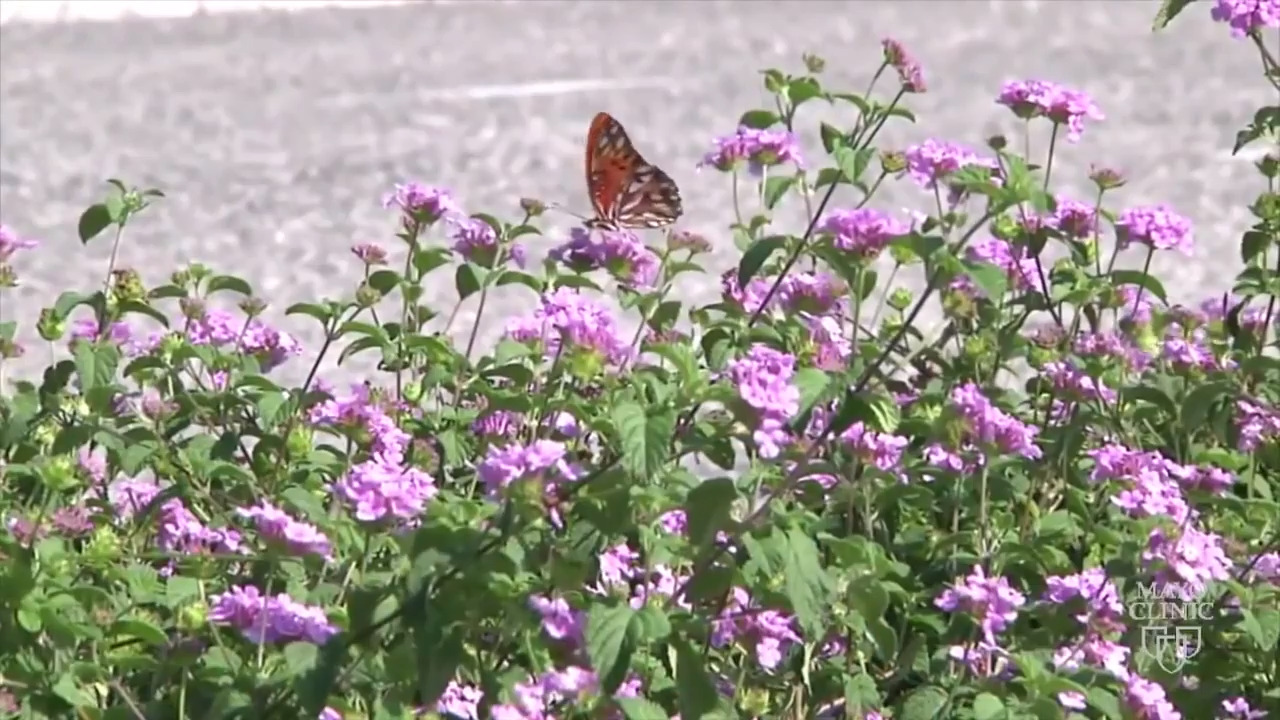 Drink vinegar? Eat honey? Tips for surviving Sacramento’s terrible pollen season