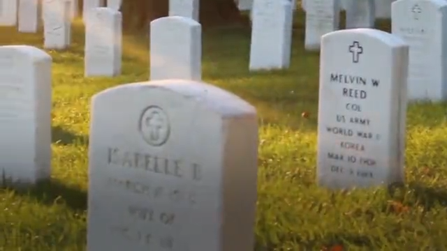 What’s the difference between Veterans Day and Memorial Day?