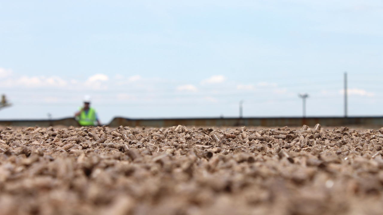 One of the world’s largest pellet plants planned in Lucedale. Residents, environmental activists at odds.