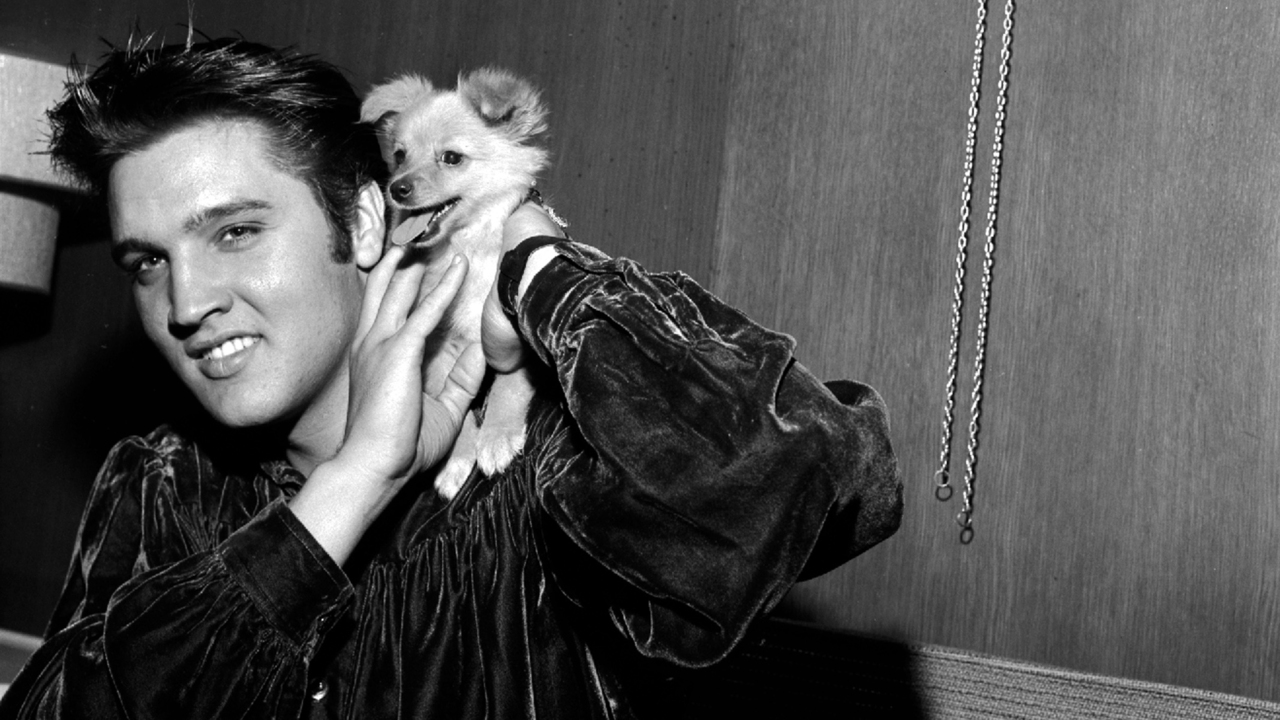 Elvis Presley, the early years