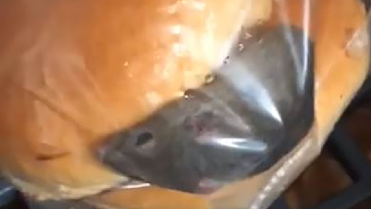 Wendy's worker finds dead mouse, feces in hamburger buns