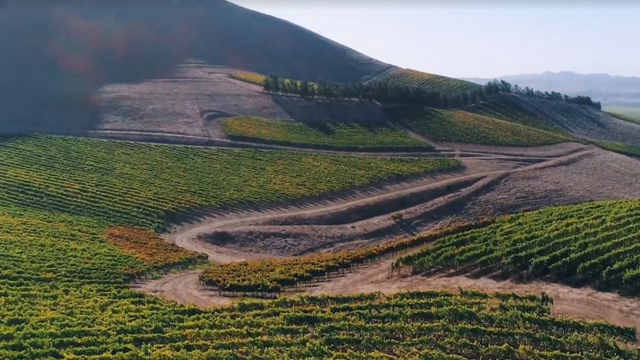 Watch drone video of Bien Nacido Estate winery