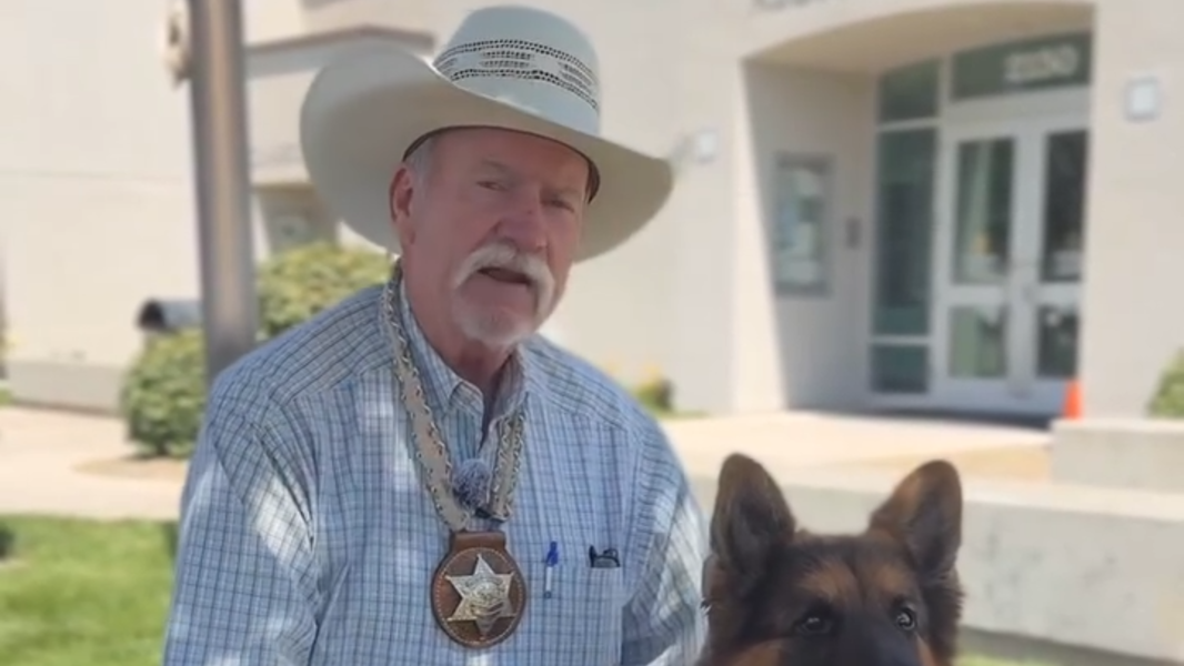 Merced County wants to ‘clear the kennels’ with a pet adoption event