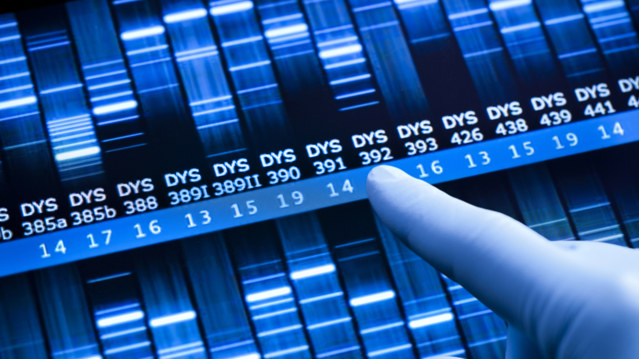 How DNA evidence works