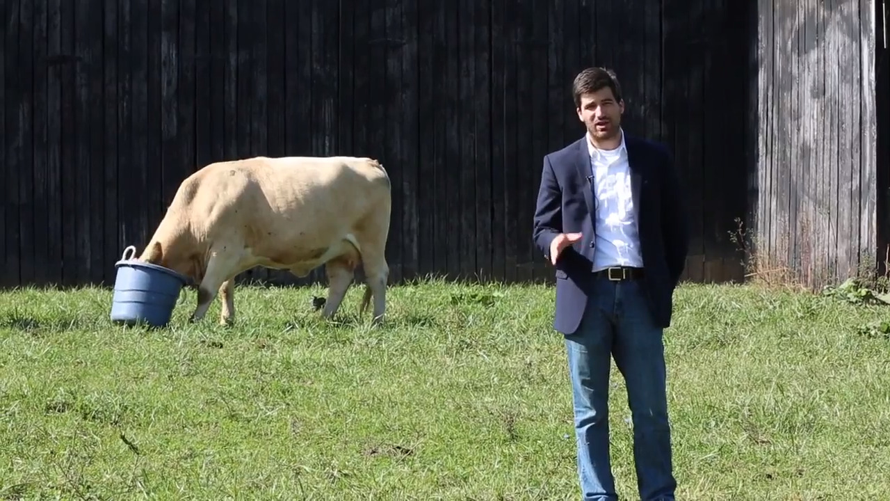 Can Bevin turn the ‘sacred cows’ of Kentucky’s tax code into hamburger?