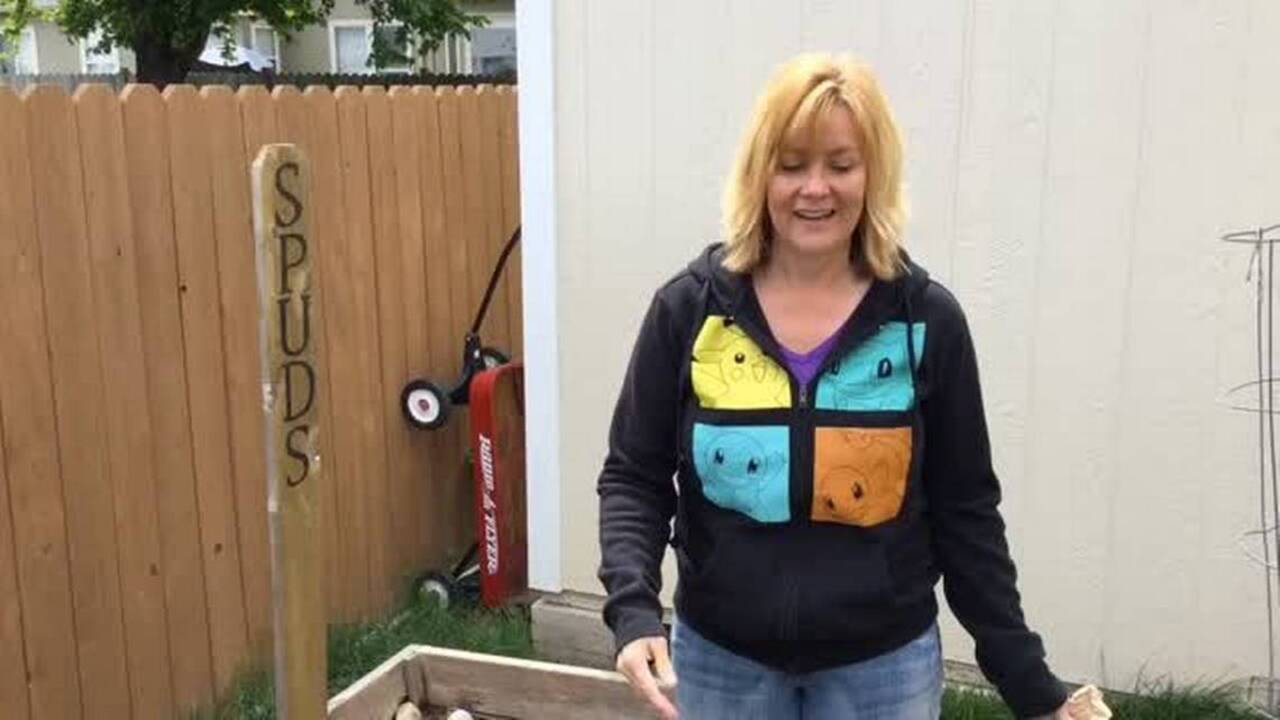Dig In video series: Plant spuds without breaking Idaho law
