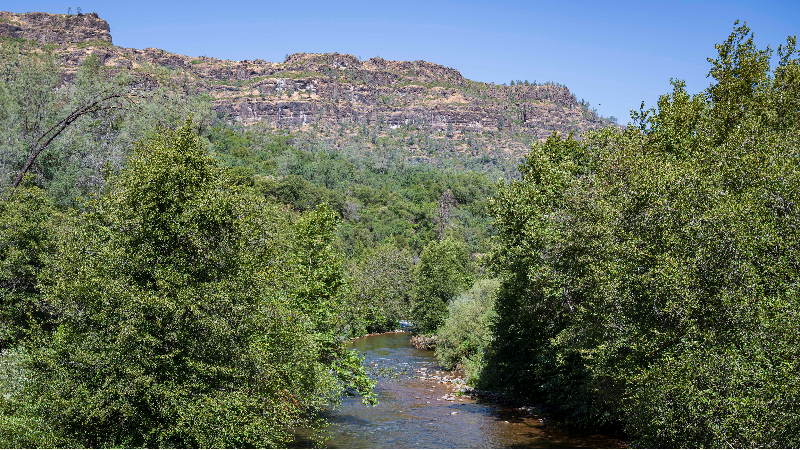 Listen to a local activist speak about the decline of Chinook salmon in Butte Creek
