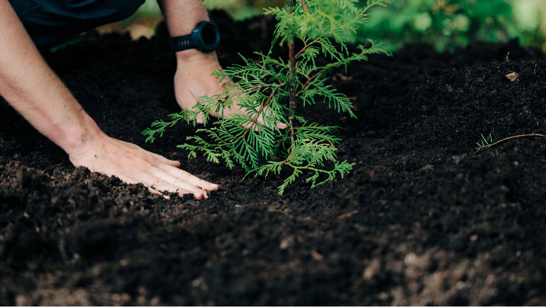 Human composting company Earth Funeral eyes Charlotte as it pushes to legalize “body-to-soil” in North Carolina