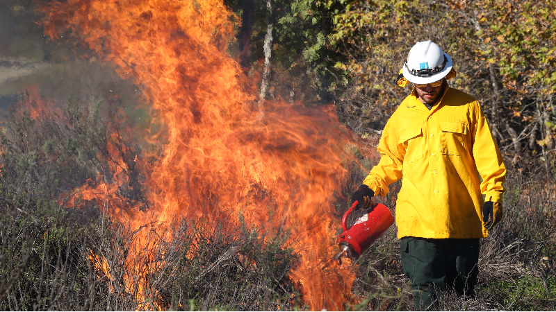 What is the difference between wildland fire and controlled burning?