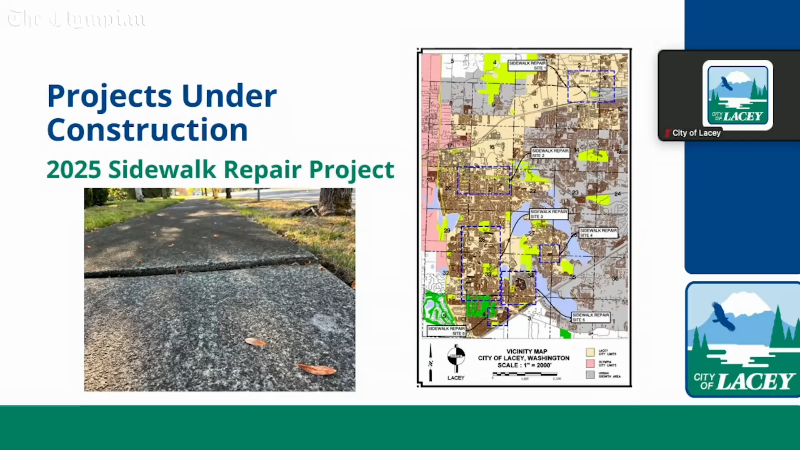 Lacey mayor questions tree removal