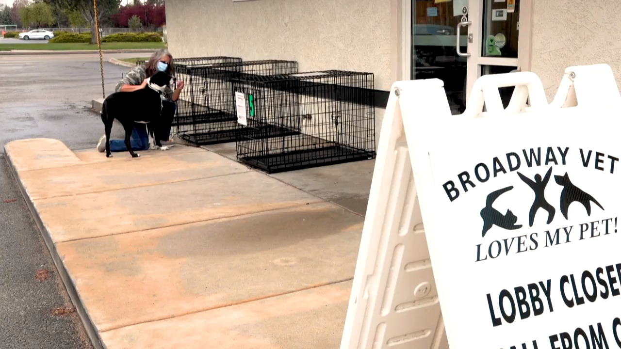 People stay safe from spreading COVID-19 at this Boise vet’s curbside drop-off