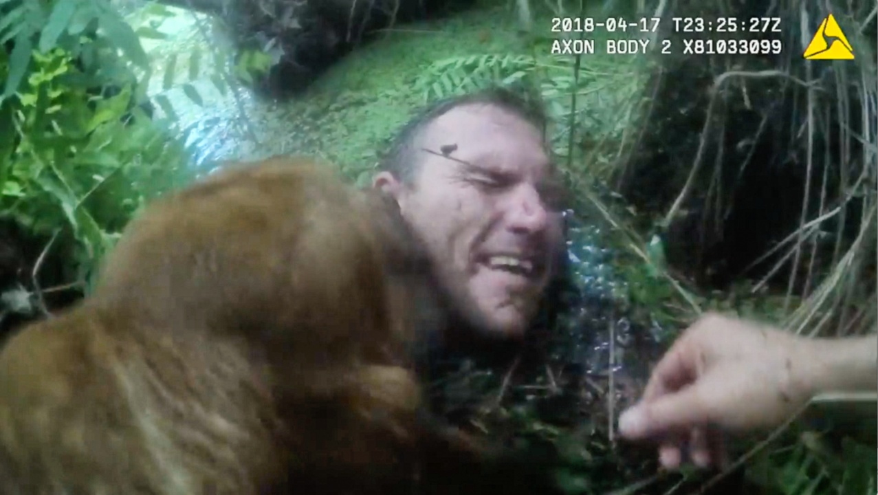 Man on the run from police tries to hide underwater in a swamp, but is no match for sheriff's dog