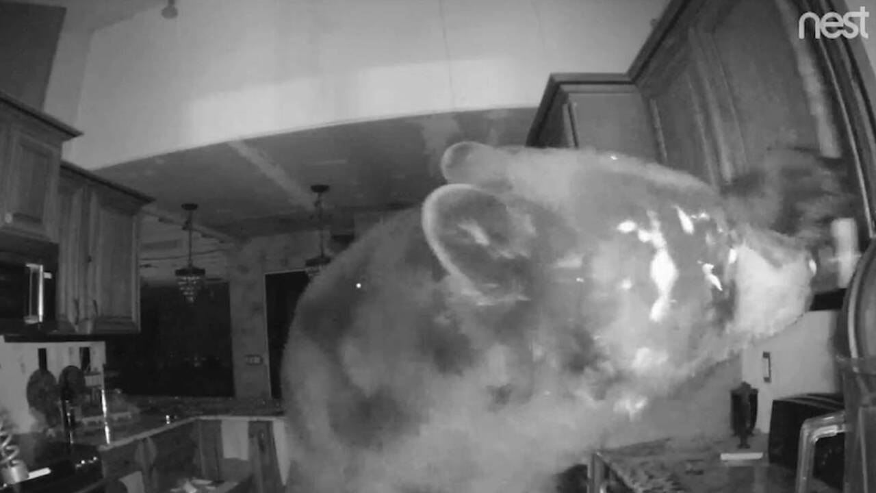 Bear breaks into house, opens fridge as homeowners are asleep