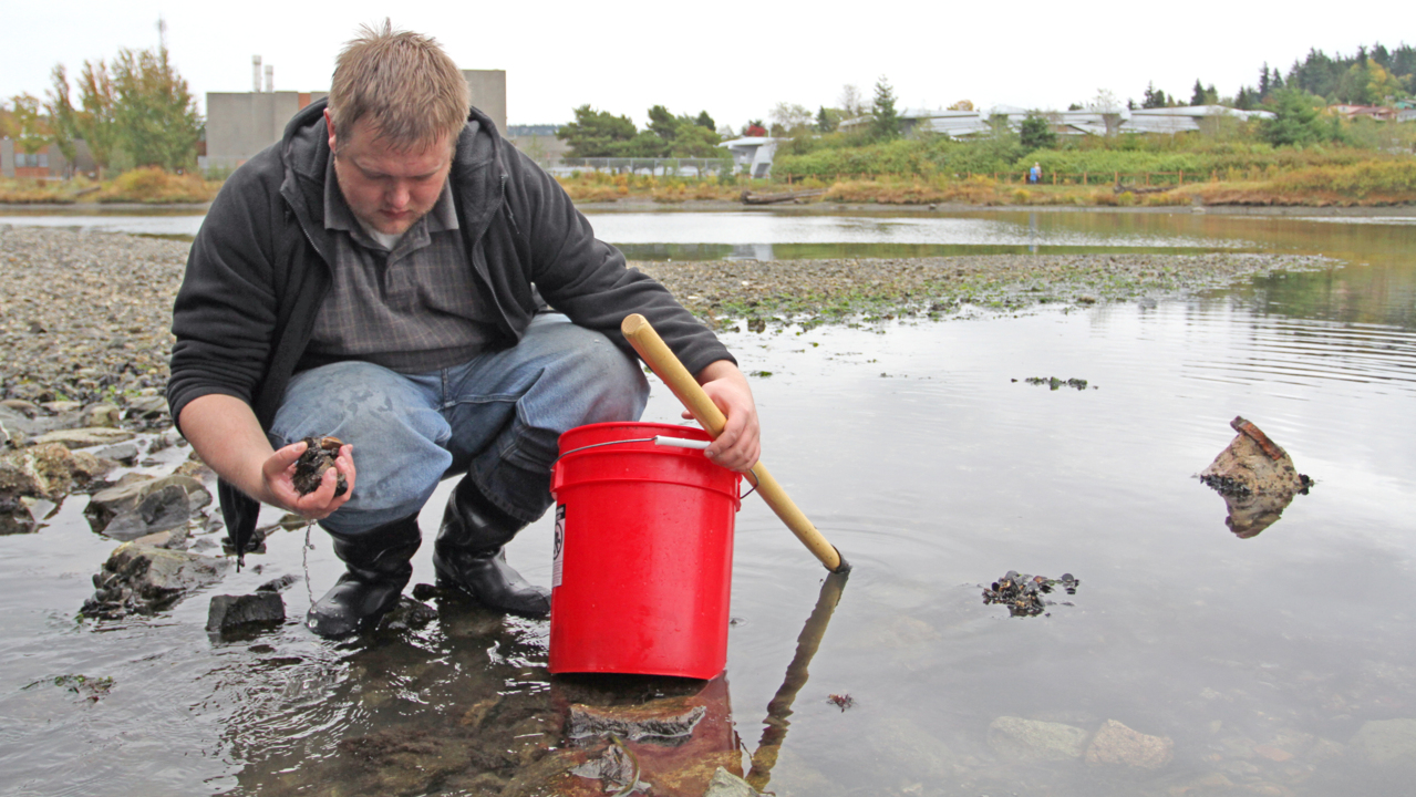 If you love shellfish, make sure you’re eating it safely