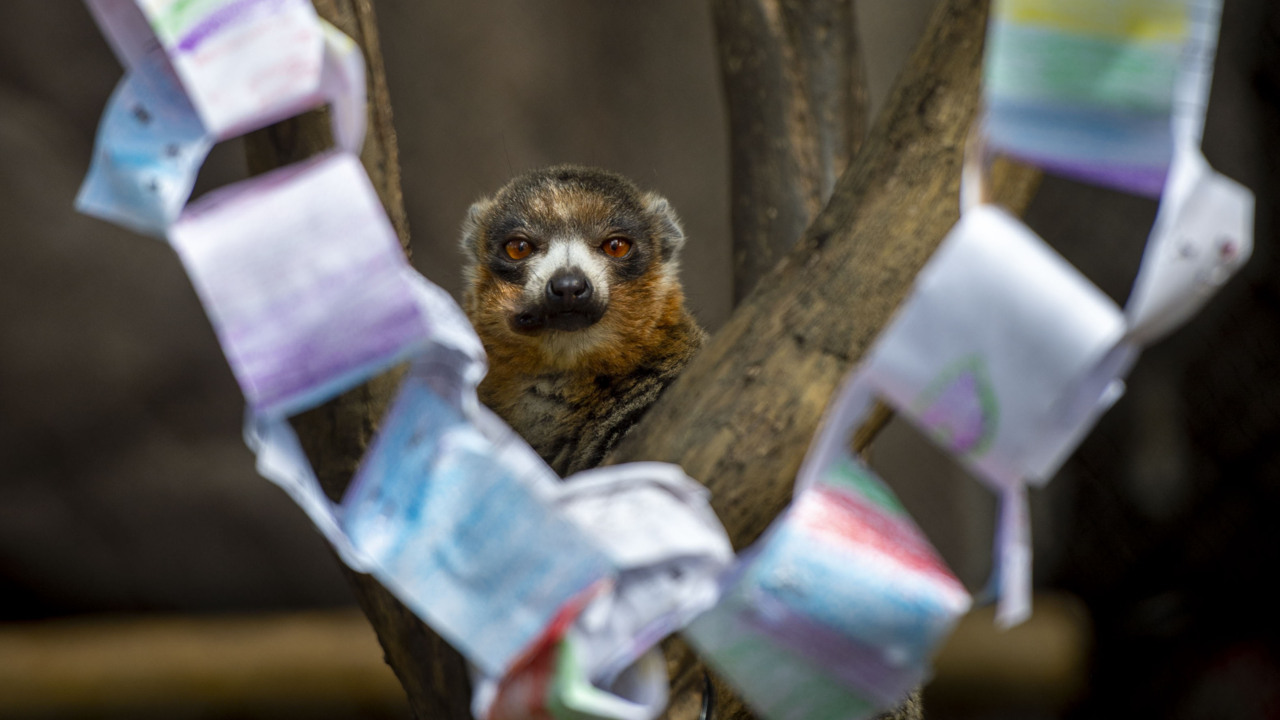 See the Easter fun at the Sacramento Zoo
