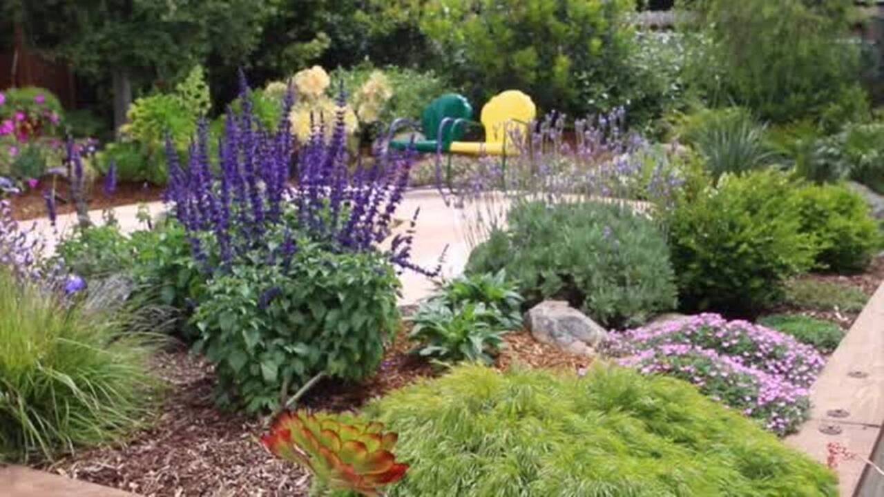 Tour the Greer garden in Cambria