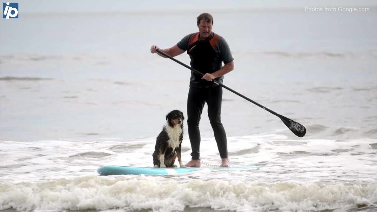 Off-season is coming, what Hilton Head Island beach rules will change?