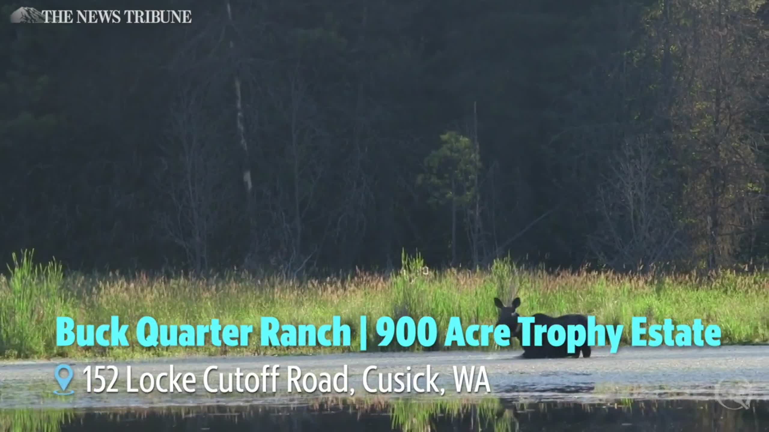 It’s basically a small town: See equestrian ranch for sale in Washington