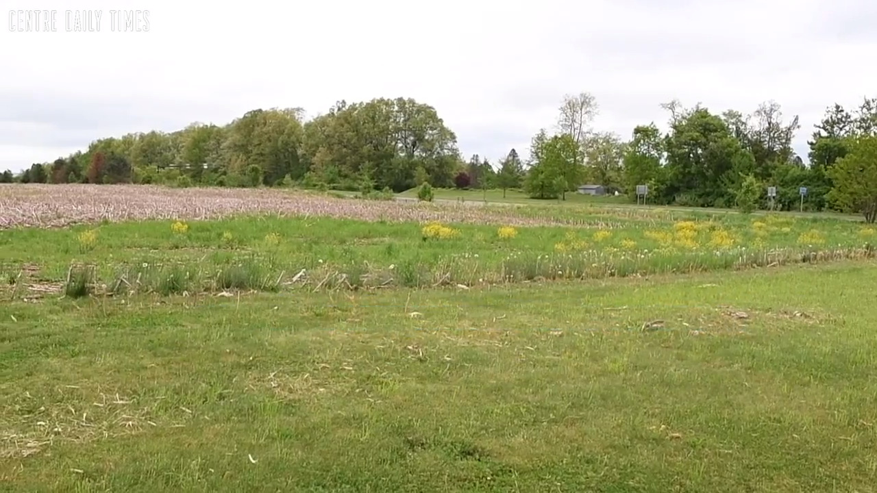 What you should know about the Pine Hall Traditional Town Development