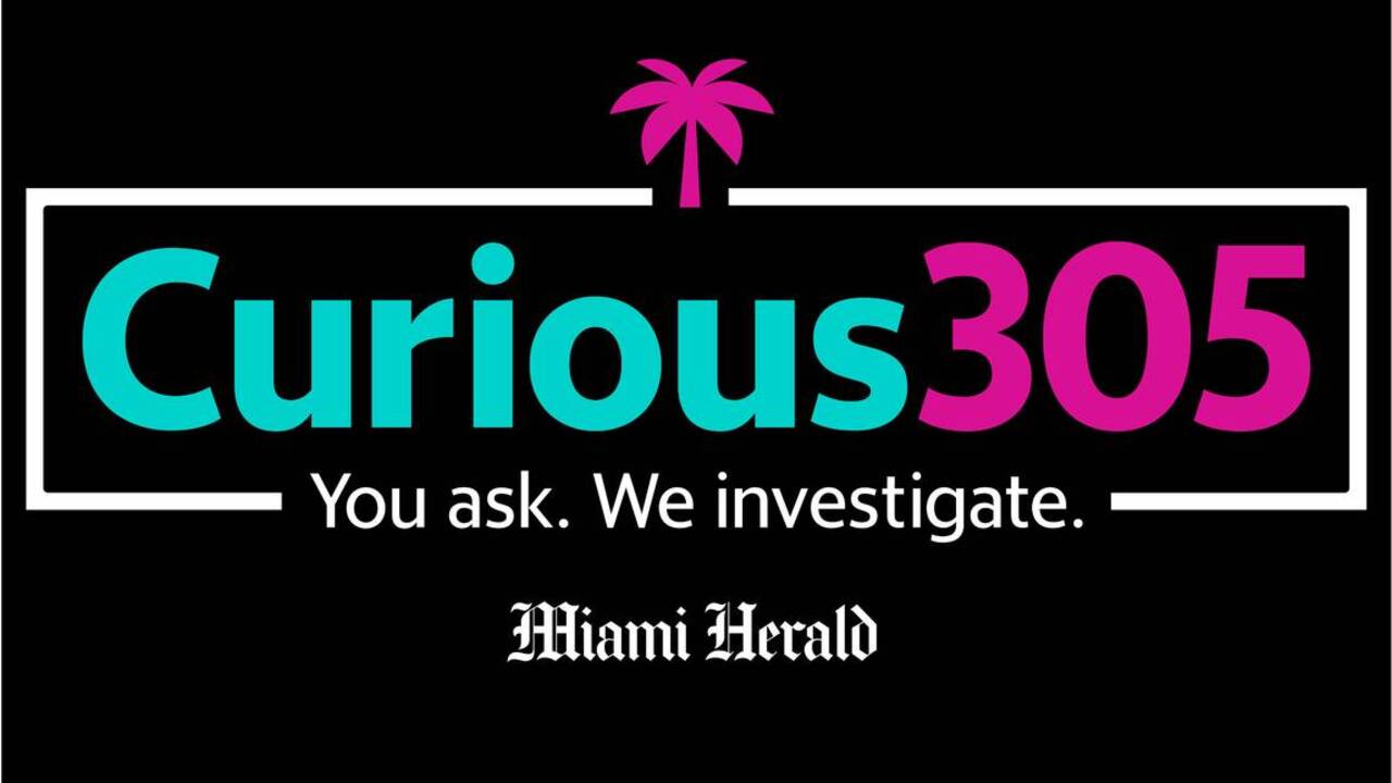 What do you wonder about Miami? Curious305 investigates to give you the answers
