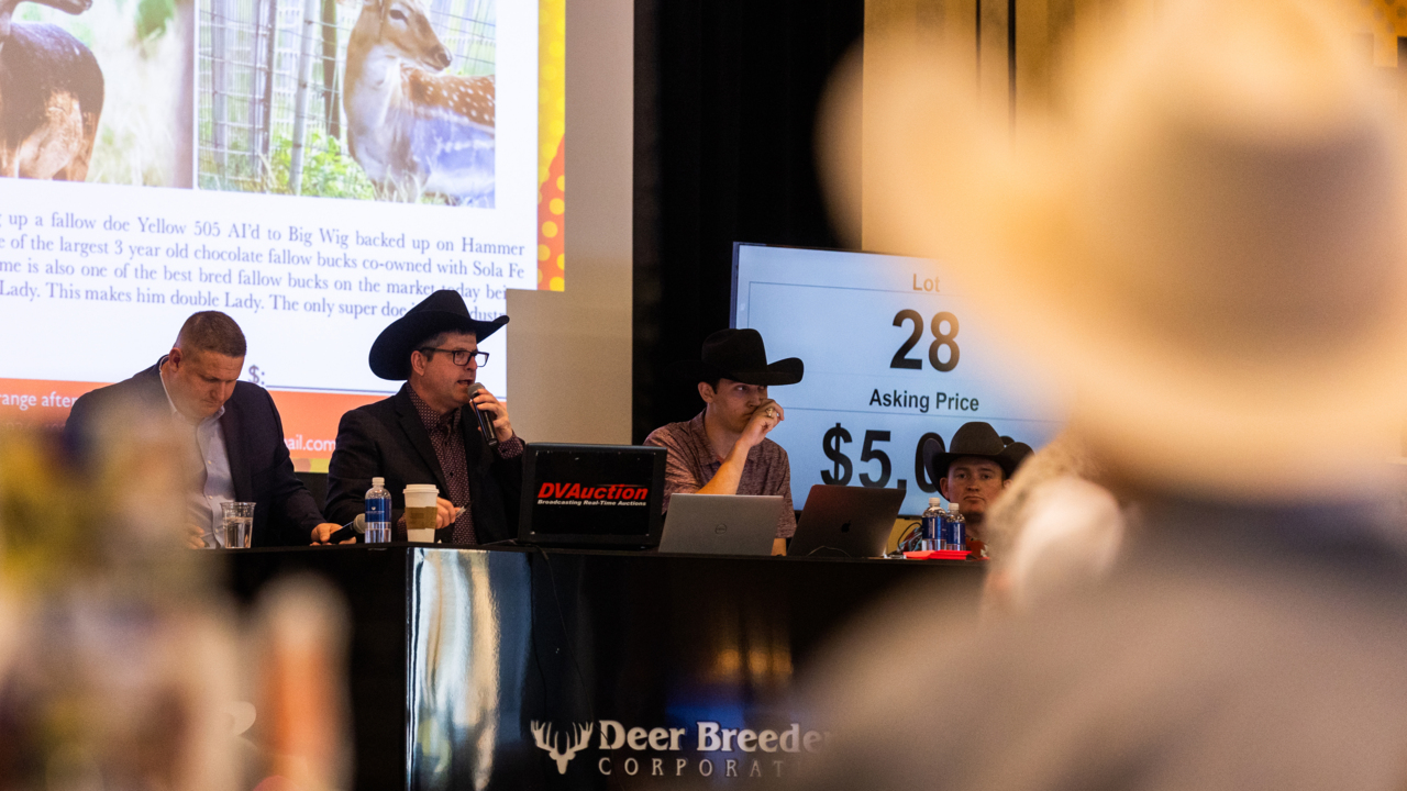 ‘Don’t you worry, it’s only money’: Two days at a Texas whitetail deer auction