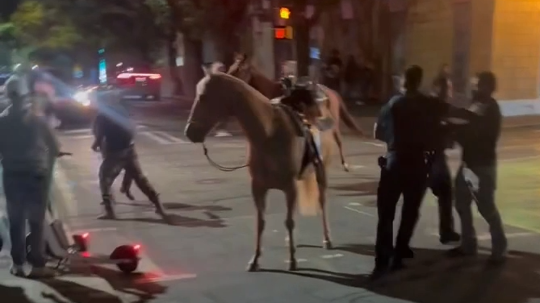 Charlotte stable owner at center of viral uptown horse incident loses civil case over ‘blinded’ horse