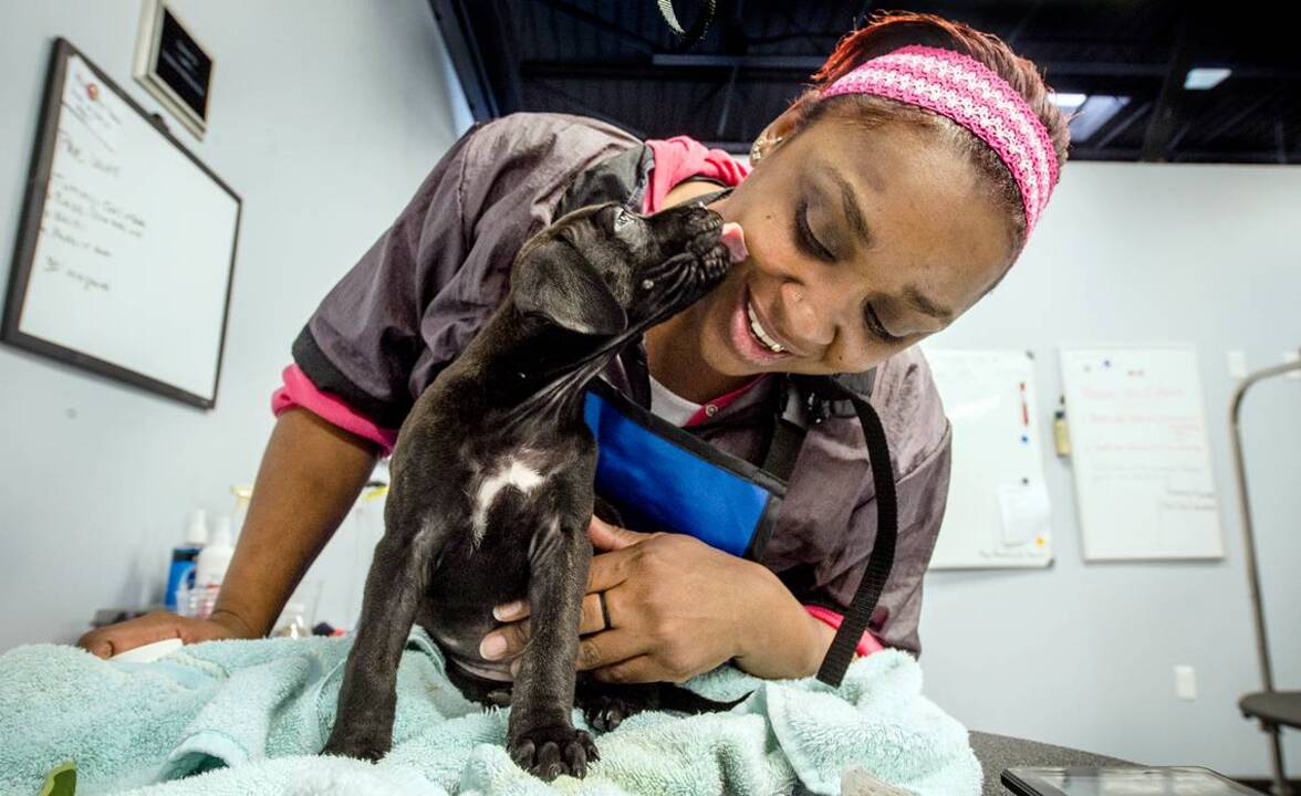 A dog groomer’s journey through homelessness, hardship and tragedy
