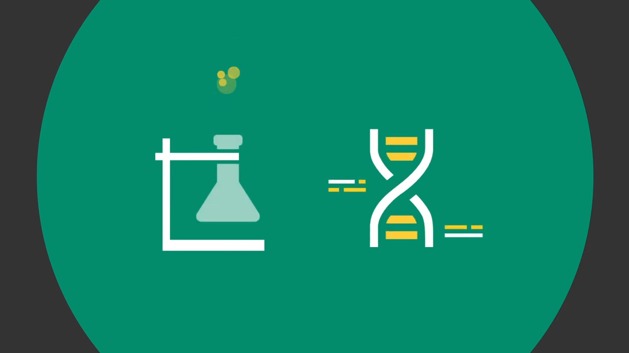 Tri-Cities chemist wins national recognition for her career-building help