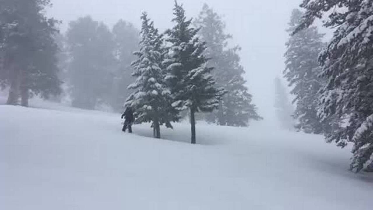 A powder day in March? Bogus gets a late-season snow dump