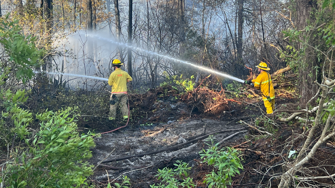 Forest fire forces evacuations in Carolina Forest area near Myrtle Beach, SC