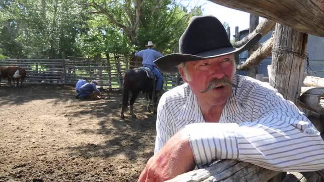 Idaho's oldest family ranch still runs cattle in Owyhee County