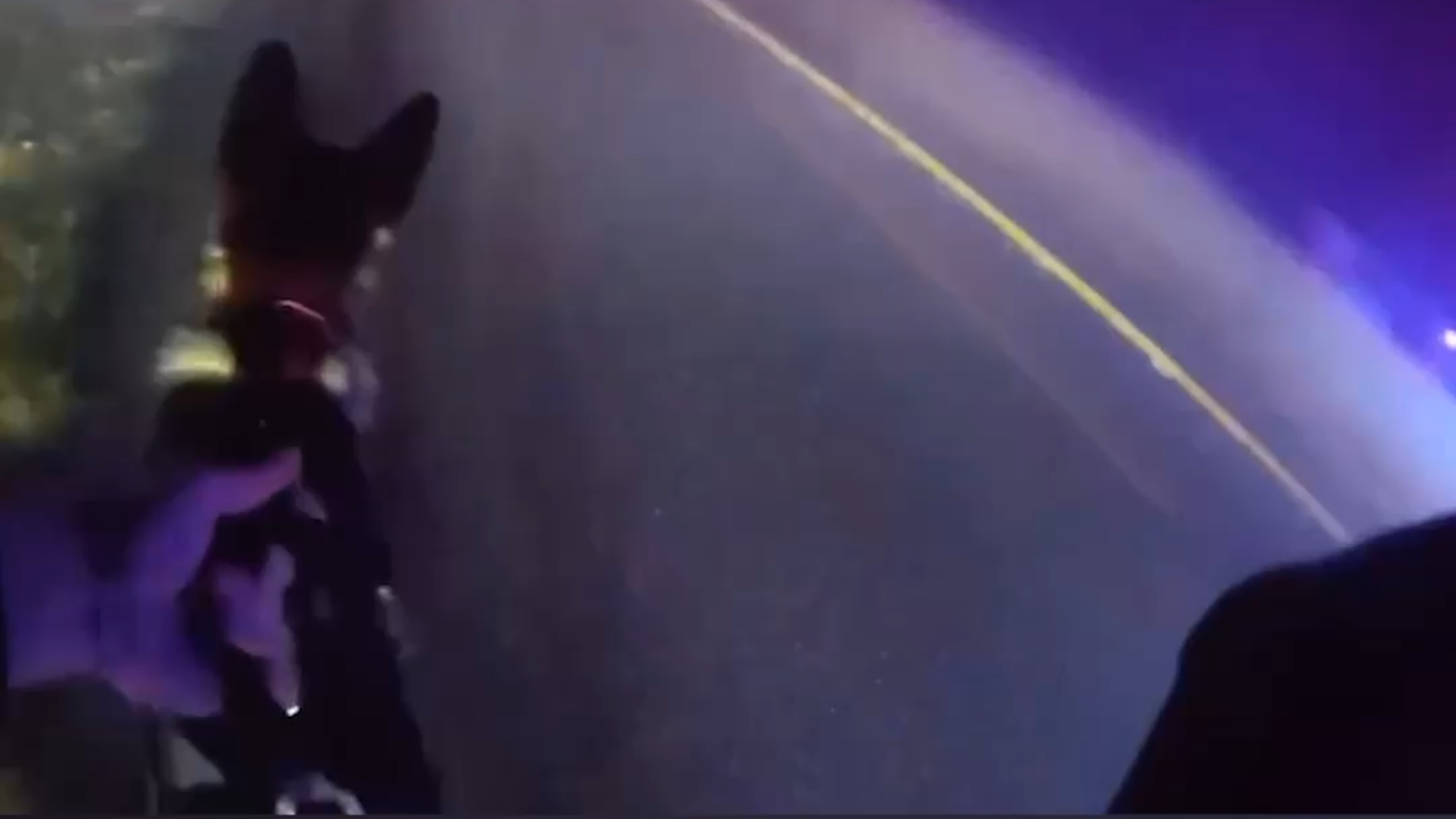 Repeat felon arrested in Thurston County after firing shots during pursuit