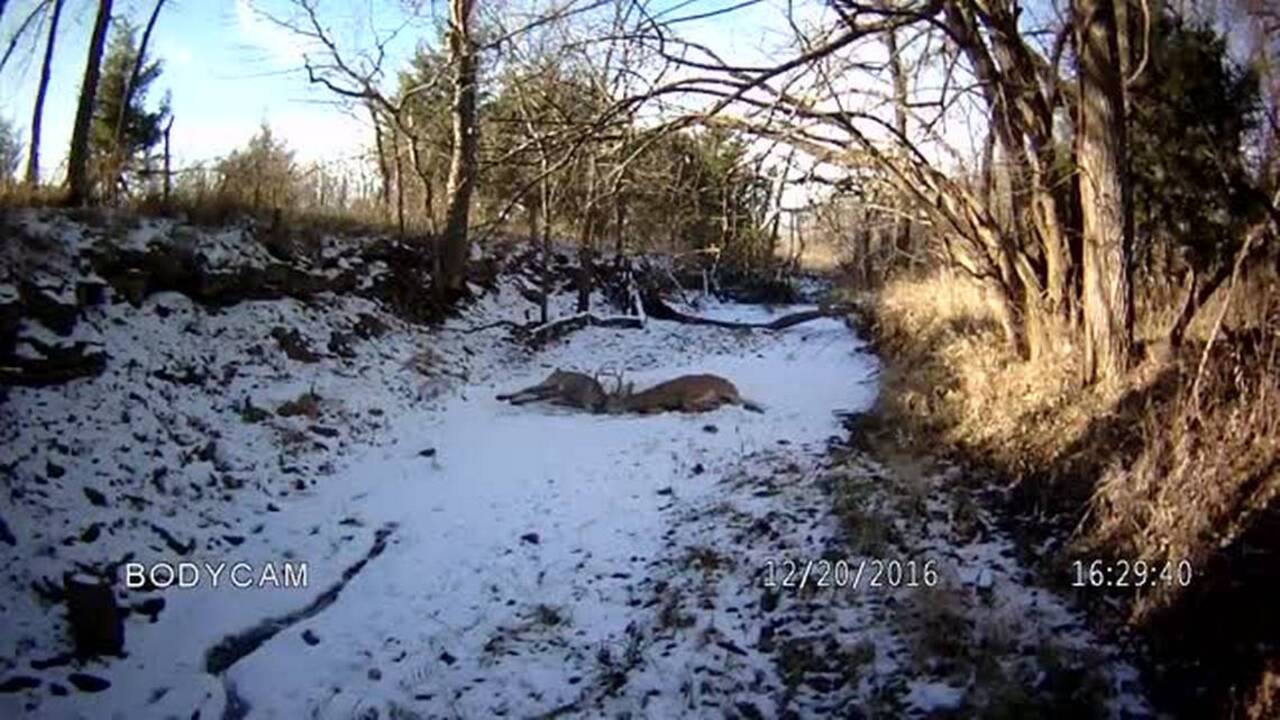 With one shot, Kansas game warden frees two deer