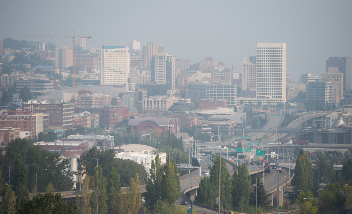 Forest-thinning measures likely dead in Congress, despite Trump, California Republicans