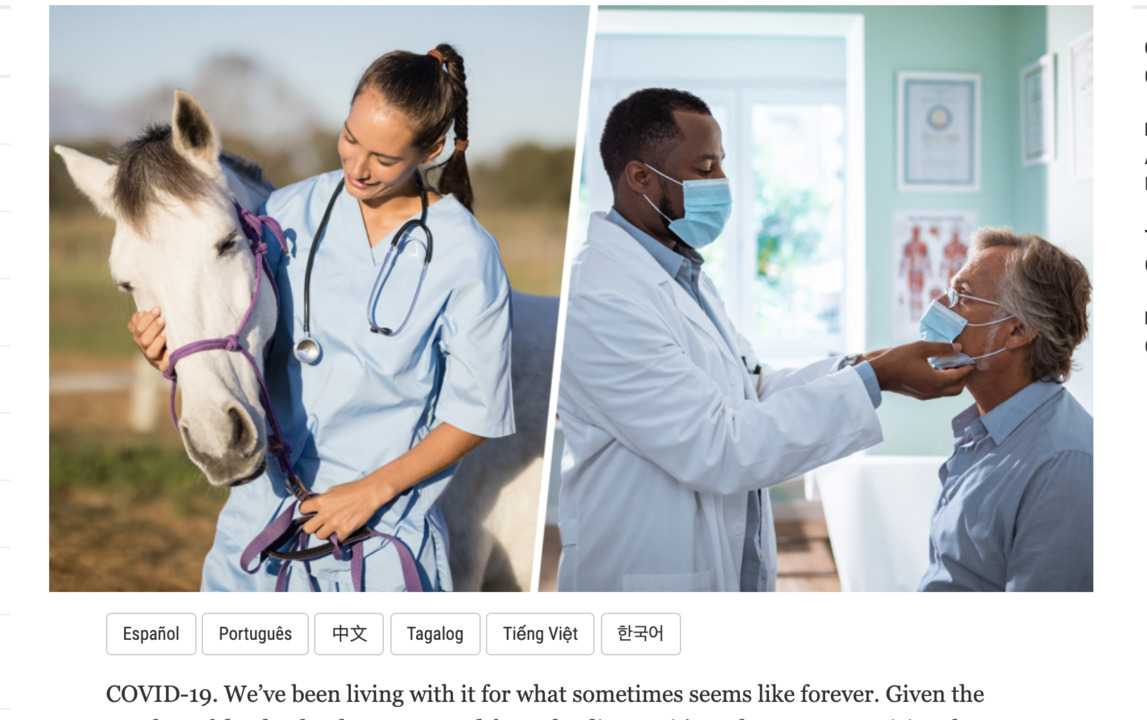 Doctor begs: ‘Don’t take livestock medication’ for COVID-19