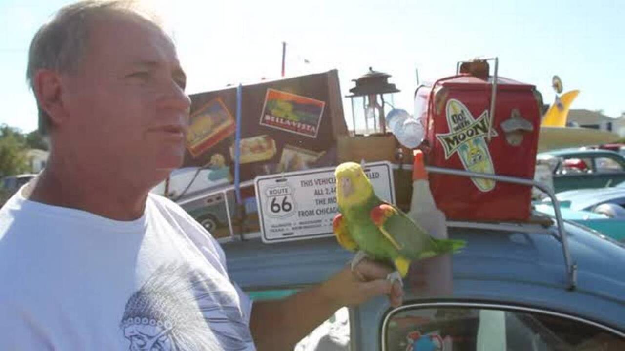 Birds of a feather flock to Long Beach Cruisin’ the Coast parade