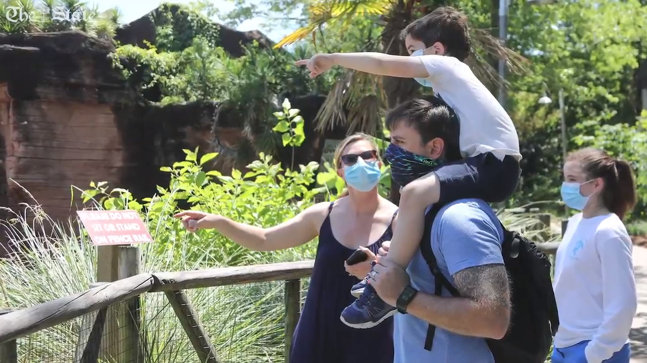 Riverbanks Zoo safely reopens to visitors after closure due to the coronavirus