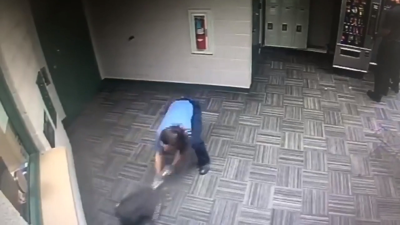 Watch as raccoon leads officers on chase