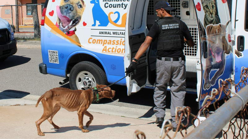 Bradenton couple faces felony animal cruelty charges