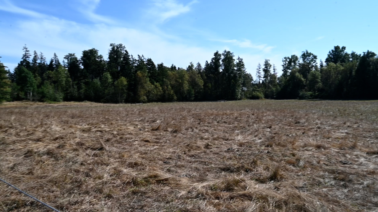 Use existing airports or build from scratch? This Puget Sound question is a math problem