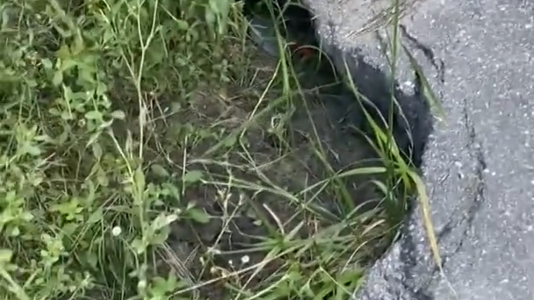 Loris area residents blame nearby quarry for causing sink holes