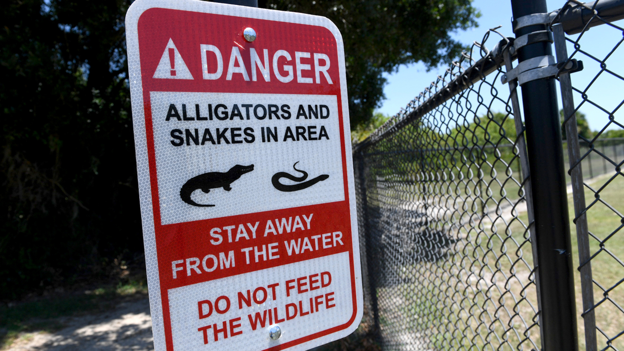New alligator warning signs near dog park