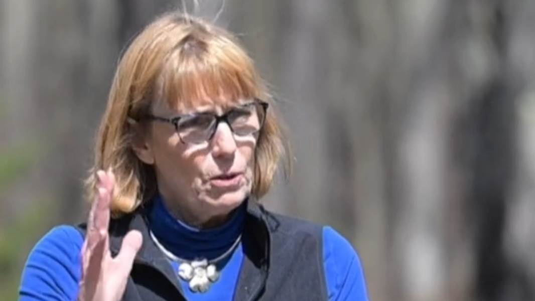 DCNR unveils new system to help conservation volunteers