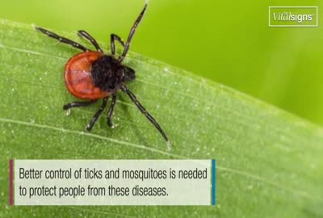 Illnesses on the rise from mosquito, tick and flea bites