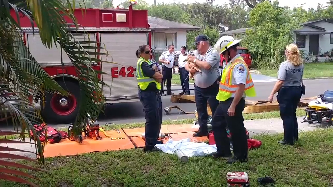 Fire crews battle a house fire in Bradenton with at least 10 animals inside, responders say